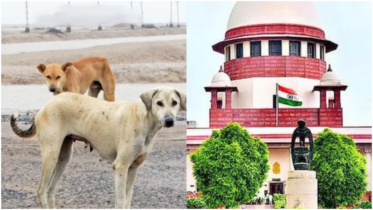  Supreme Court Stray Dog Order 