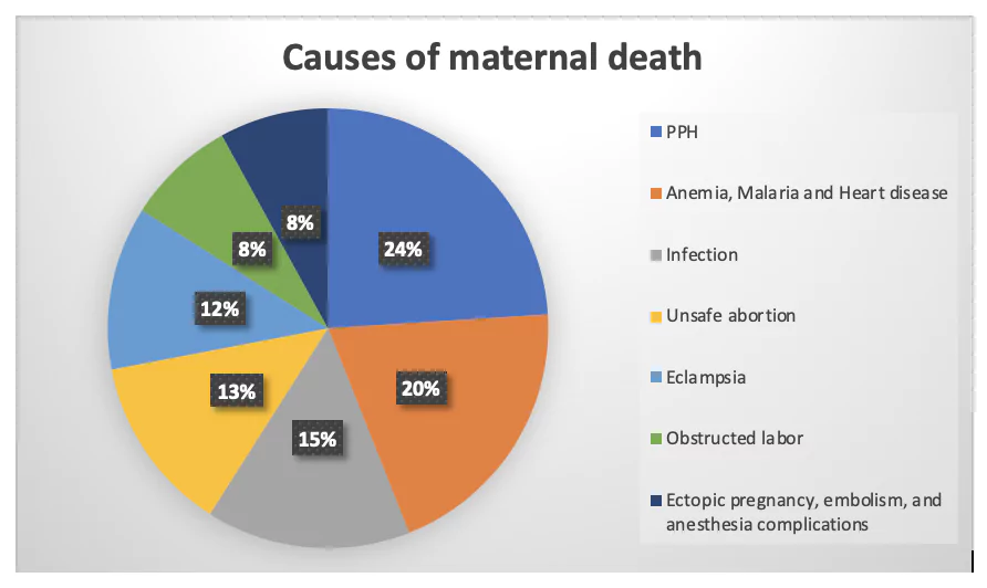 Maternal Mortality Ratio in India