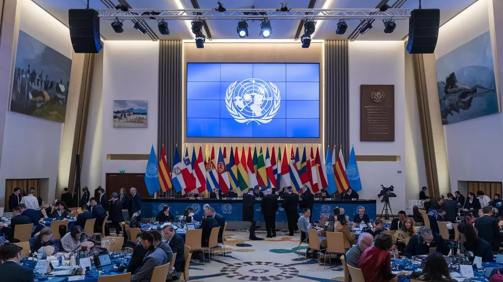 Bonn Climate Conference 2024