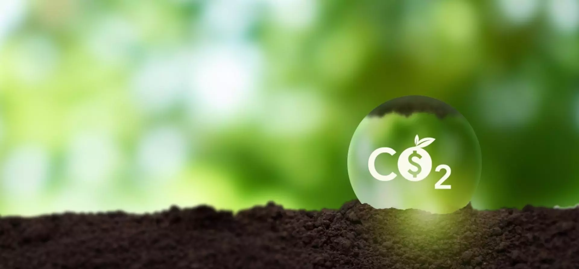 India’s Carbon Market & Carbon Sink