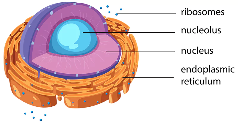 New Clues to the Origins of Life