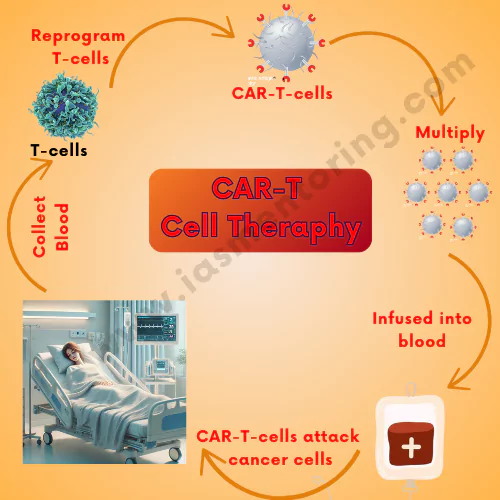  Fight Against Cancer 