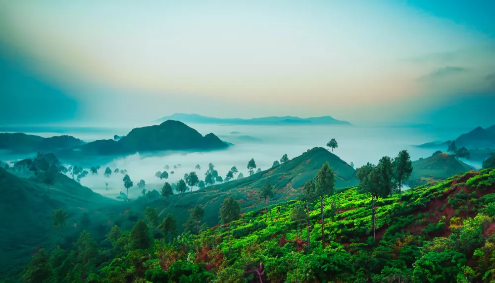 States Catching Up With Kerala