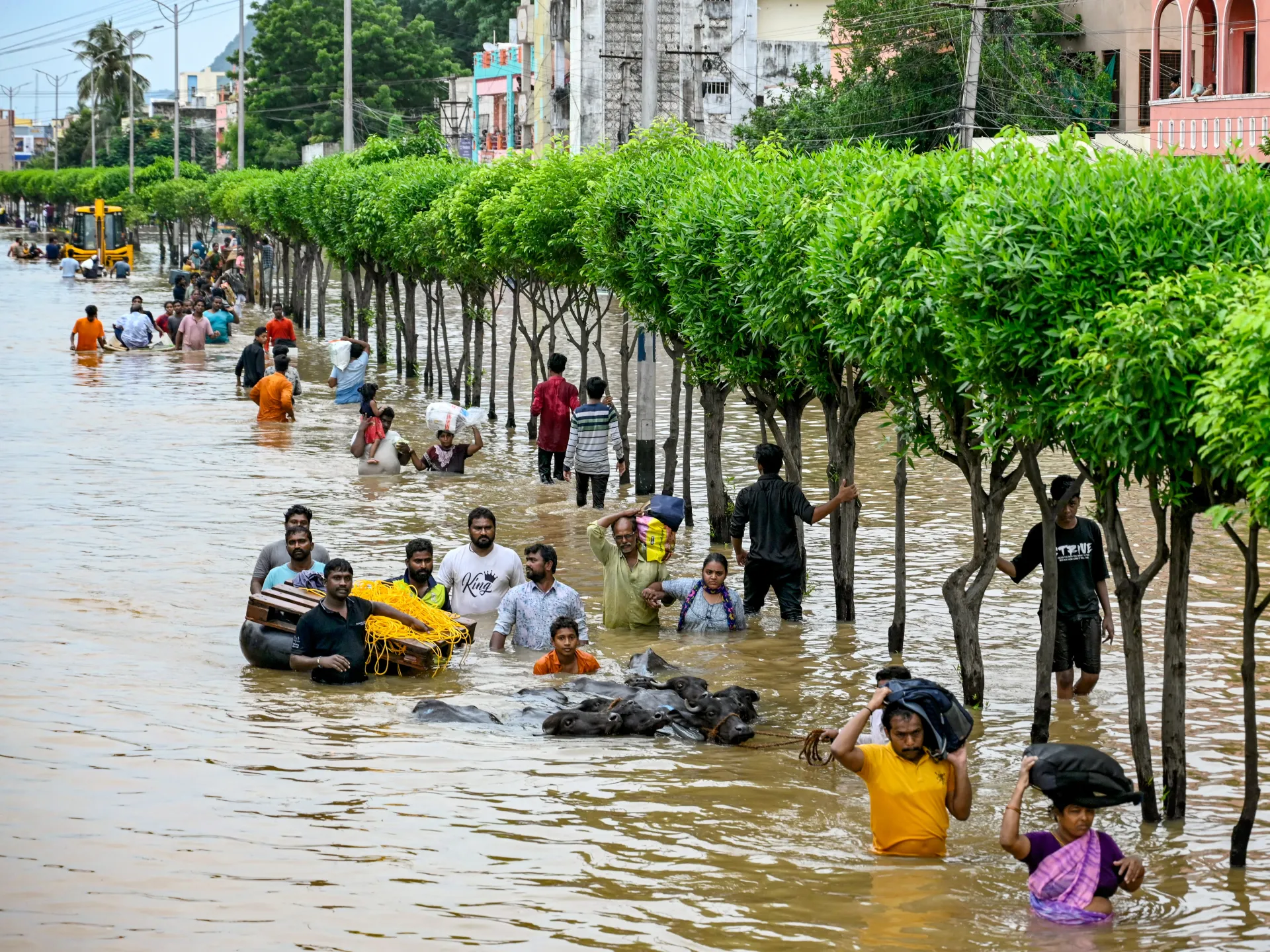 Extreme Flooding in India