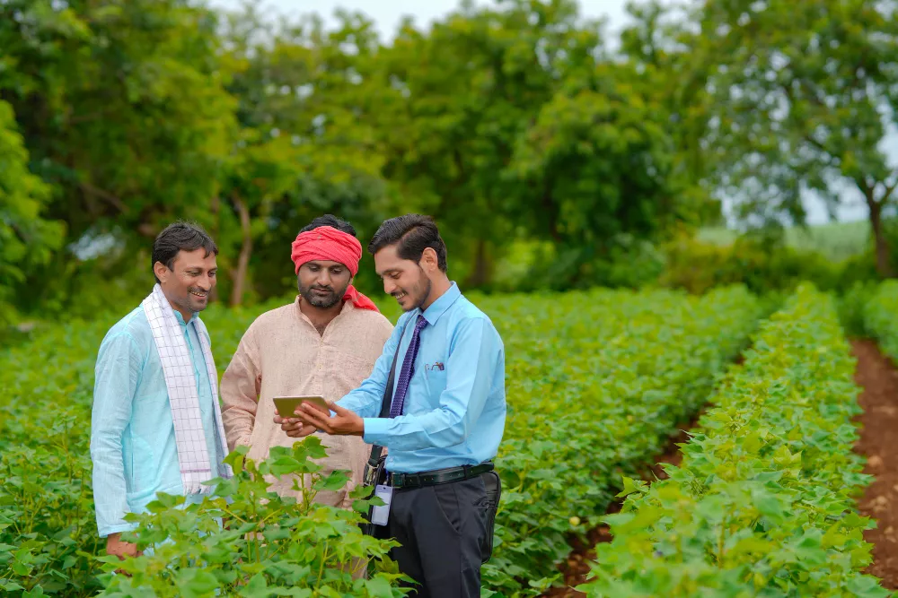 India’s Progress in Sustainable Agriculture and Organic Farming