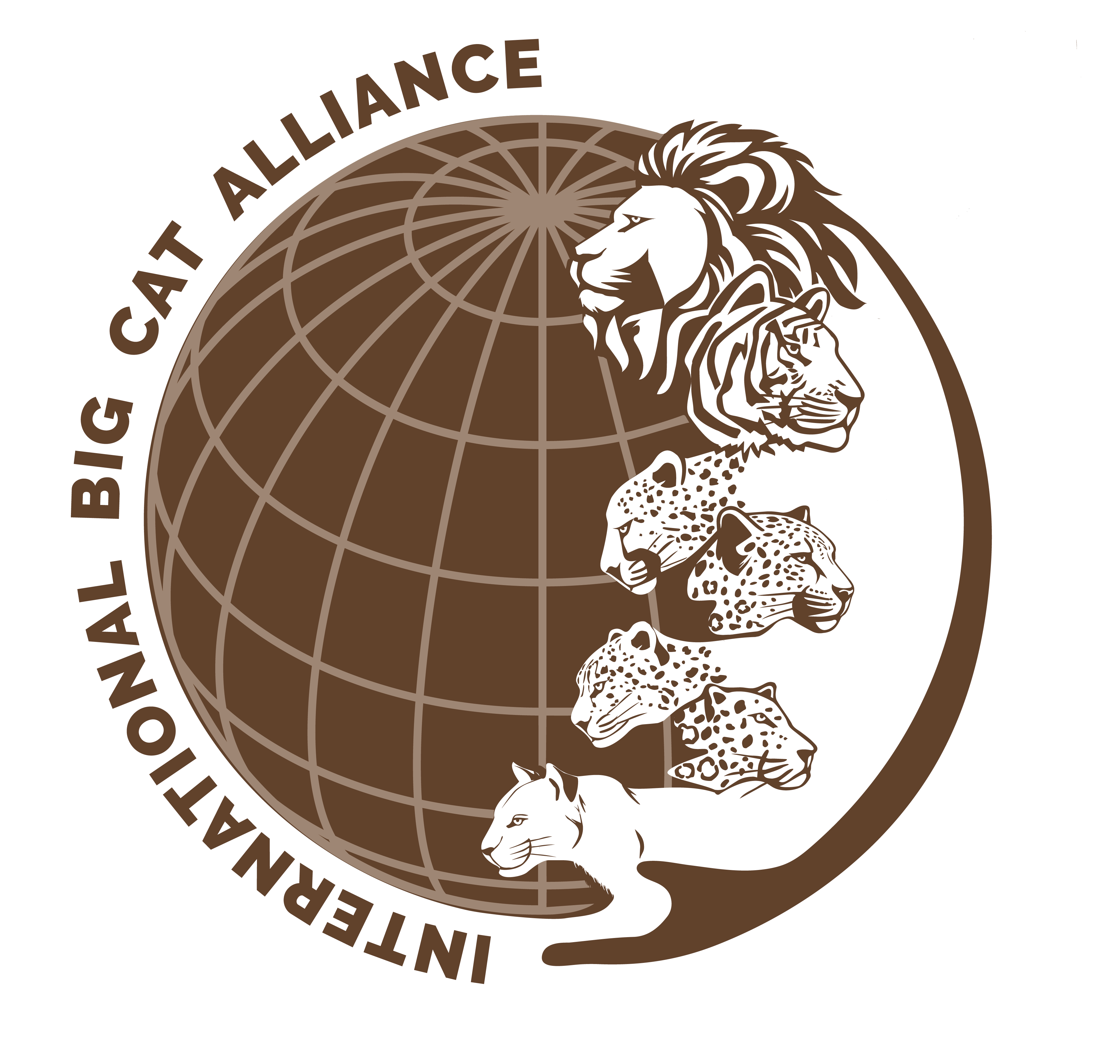 International Big Cat Alliance
