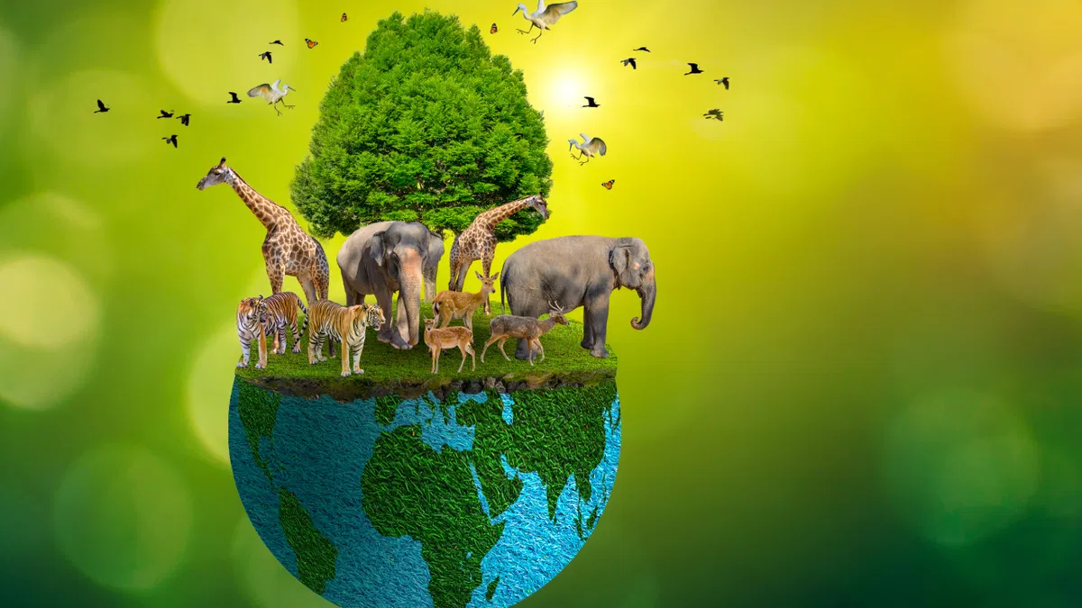 International Day For Biodiversity, 2025