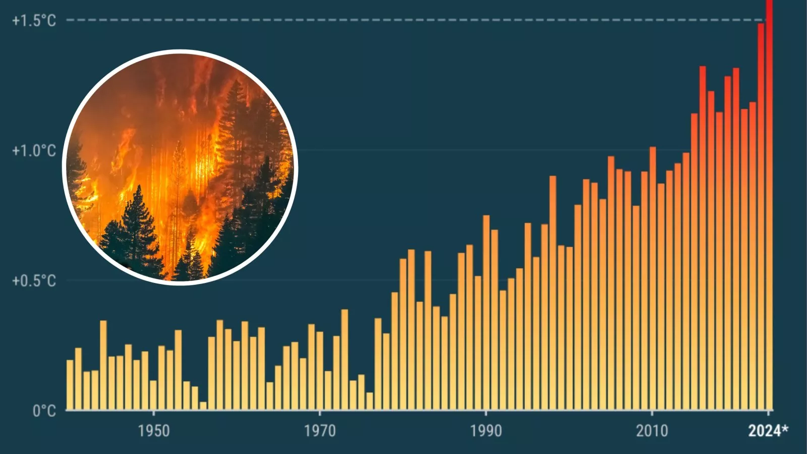 2024: The Hottest Year on Record