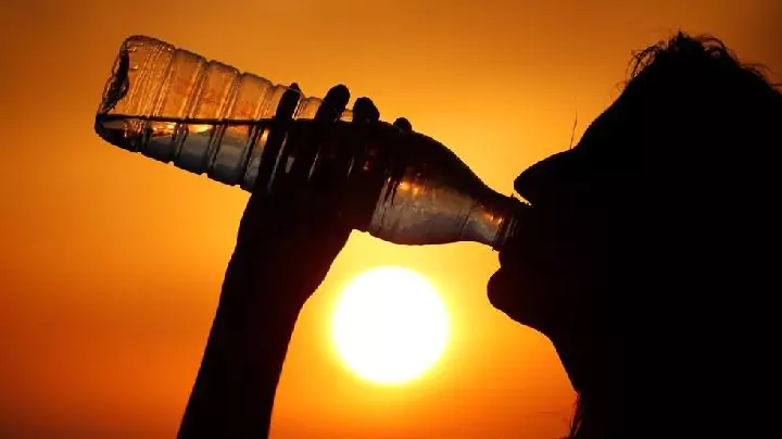  2024: The Hottest Year on Record 
